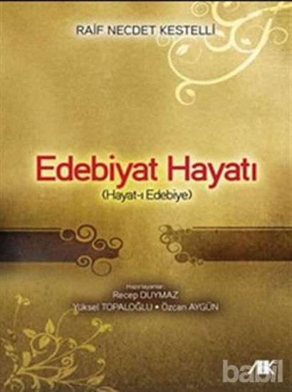 Picture of Edebiyat Hayatı