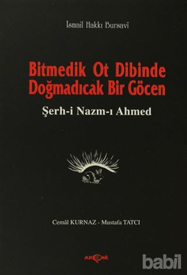 Picture of Bitmedik Ot Dibinde Doğmadıcak Bir Göcen Şerh-i Nazım-ı Ahmed