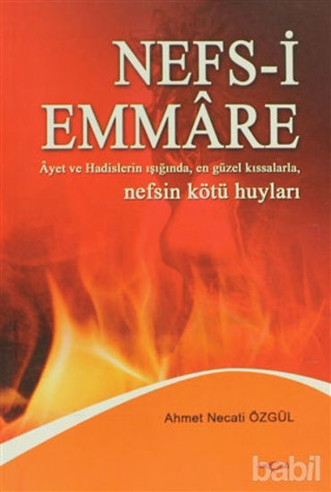Picture of Nefs-i Emmare