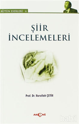 Picture of Şiir İncelemeleri
