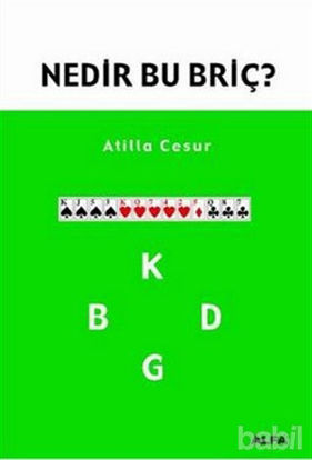 Picture of Nedir Bu Briç?