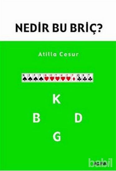 Picture of Nedir Bu Briç?