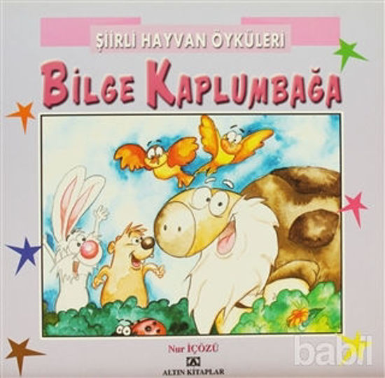 Picture of Bilge Kaplumbağa