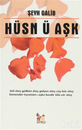 Picture of Hüsn ü Aşk