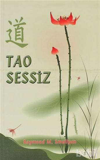 Picture of Tao Sessiz