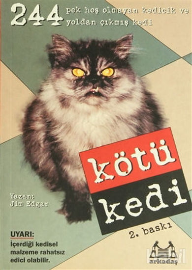 Picture of Kötü Kedi