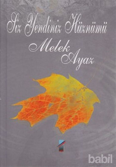 Picture of Siz Yendiniz Hüznümü