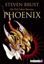 Picture of Phoenix Bir Vlad Taltos Macerası