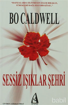 Picture of Sessiz Işıklar Şehri