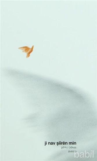 Picture of Ji Nav Şiiren Min