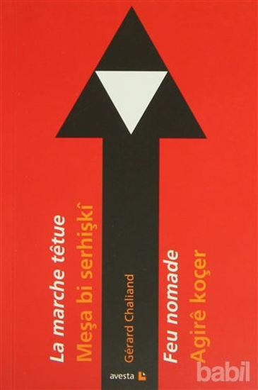 Picture of Meşa Bi Serhişki