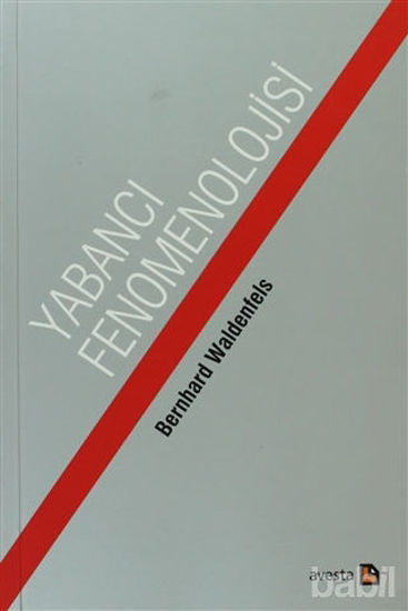 Picture of Yabancı Fenomonolojisi