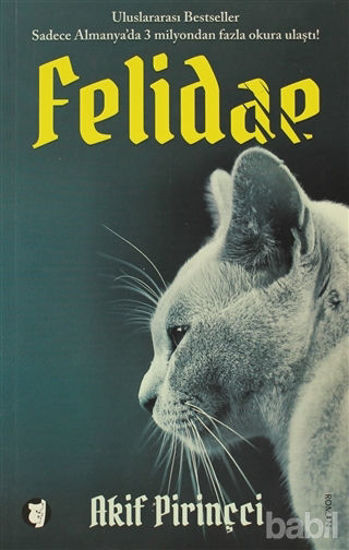 Picture of Felidae