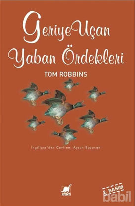 Picture of Geriye Uçan Yaban Ördekleri