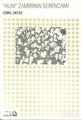 Picture of Hum Zamirinin Serencamı