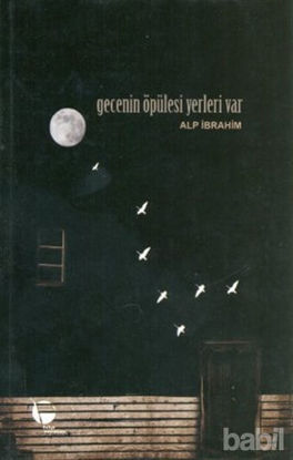 Picture of Gecenin Öpülesi Yerleri Var