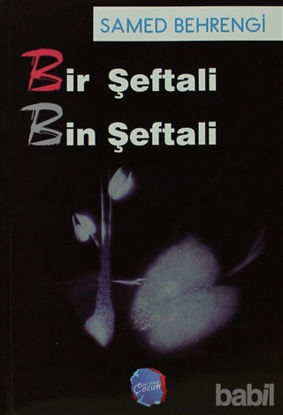 Picture of Bir Şeftali Bin Şeftali