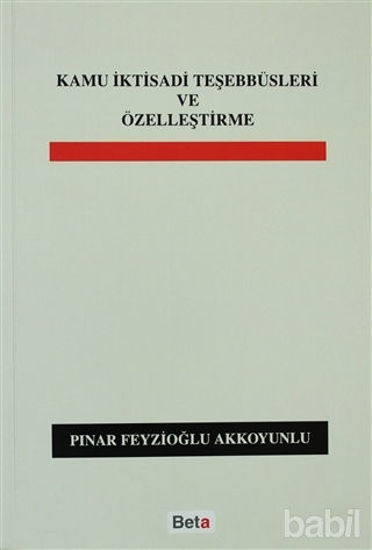 Picture of Kamu İktisadi Teşebbüsleri ve Özelleştirme