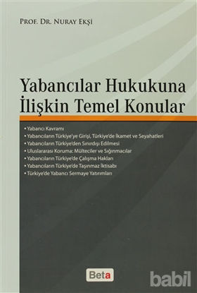 Picture of Yabancılar Hukukuna İlişkin Temel Konular