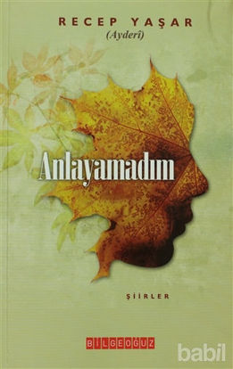 Picture of Anlayamadım