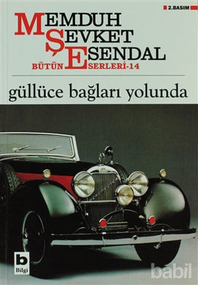 Picture of Güllüce Bağları Yolunda