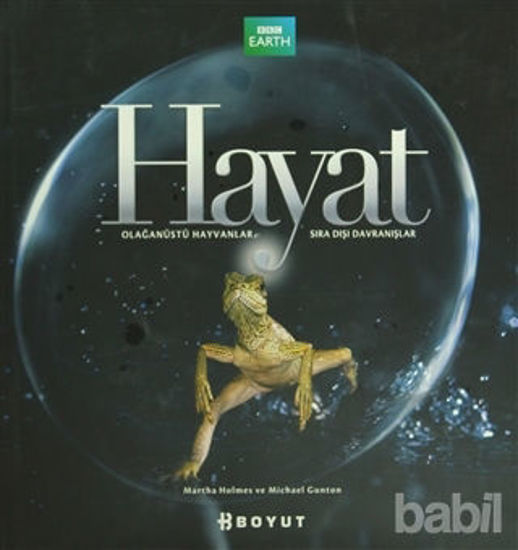 Picture of Hayat