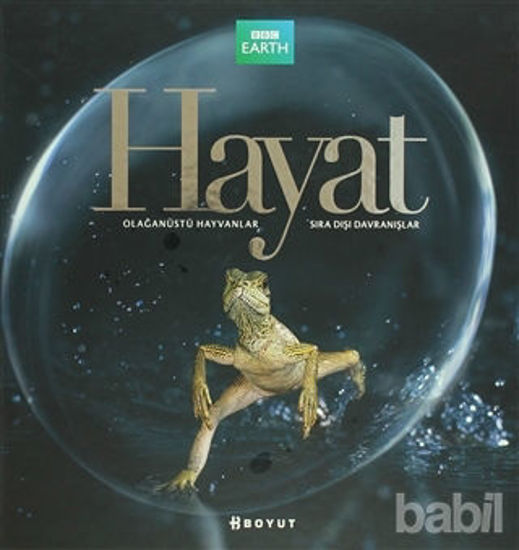 Picture of Hayat
