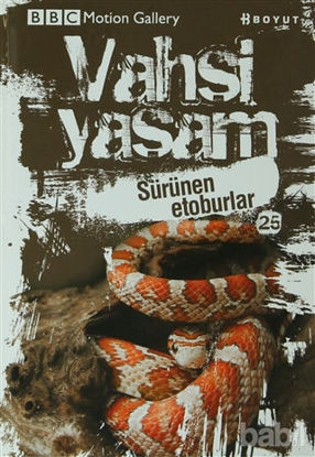 Picture of Vahşi Yaşam 2 - Sürünen Etoburlar