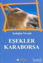 Picture of Eşekler Karaborsa