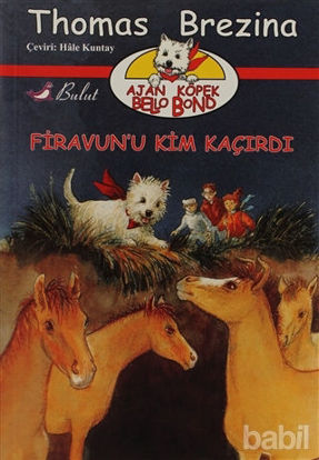 Picture of Firavun’u Kim Kaçırdı