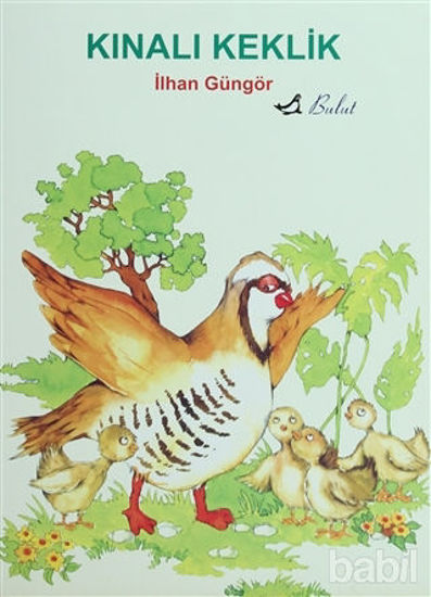 Picture of Kınalı Keklik