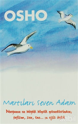 Picture of Martıları Seven Adam