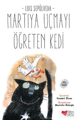 Picture of Martıya Uçmayı Öğreten Kedi