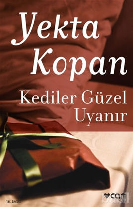 Picture of Kediler Güzel Uyanır