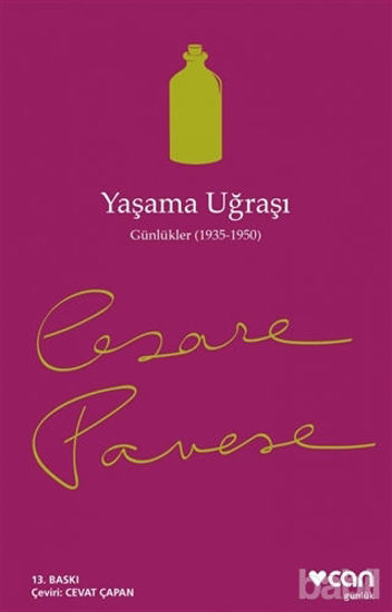 Picture of Yaşama Uğraşı
