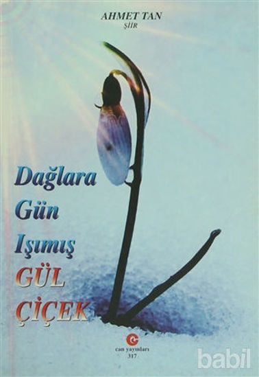 Picture of Dağlara Gün Işımış Gül Çiçek