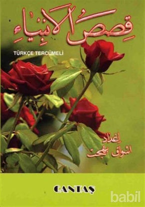 Picture of Kısası Enbiya