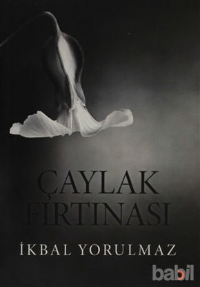Picture of Çaylak Fırtınası