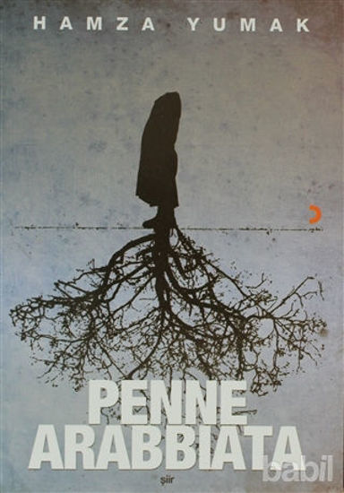 Picture of Penne Arabbiata