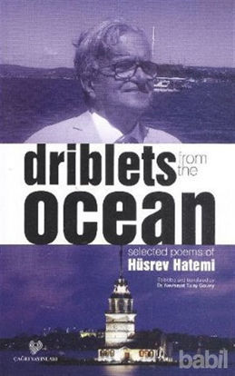 Picture of Driblets from the Ocean
