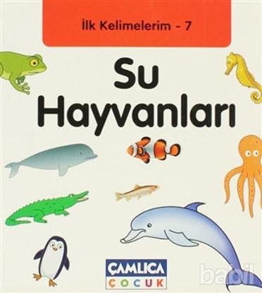 Picture of İlk Kelimelerim 7: Su Hayvanları