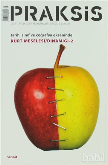 Picture of Praksis Sayı : 29