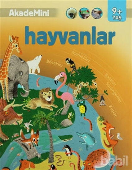 Picture of Akademini - Hayvanlar