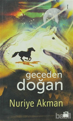 Picture of Geceden Doğan