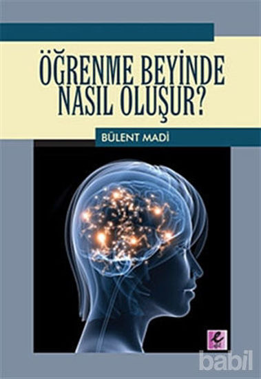 Picture of Öğrenme Beyinde Nasıl Oluşur?