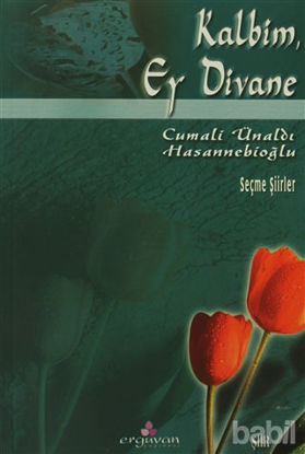 Picture of Kalbim, Ey Divane