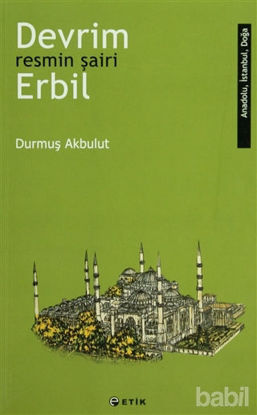 Picture of Devrim Erbil - Resmin Şairi