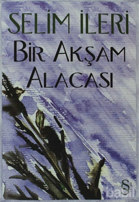 Picture of Bir Akşam Alacası