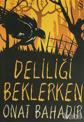 Picture of Deliliği Beklerken