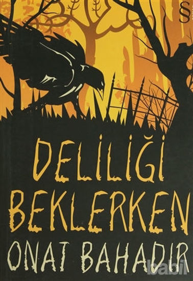 Picture of Deliliği Beklerken